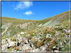 foto Forcella Pala del Becco